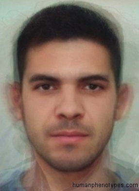 Male representative of Paleo Sardinian